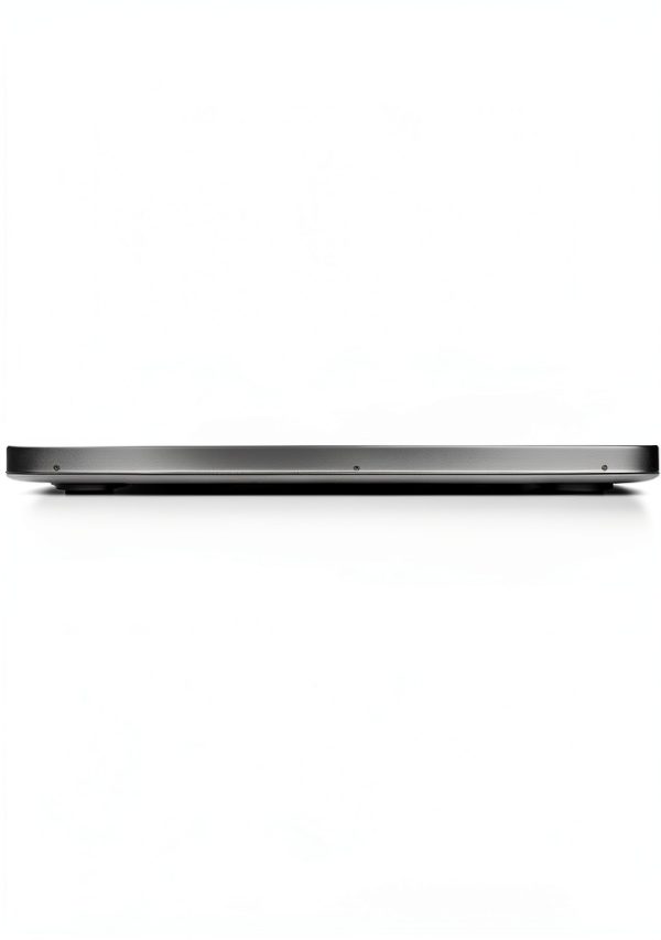 Digital Stainless Steel Weighing Platform by Pavo-3