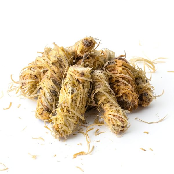 Fire Starter 108 Count Natural Wood Wax Sticks by CHENPLY Eco Friendly-2